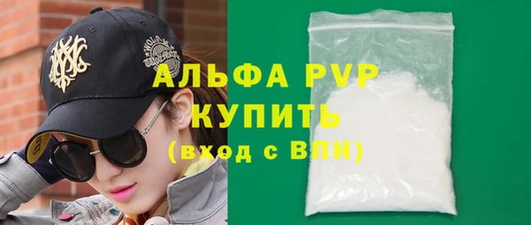 эйфоретик Богданович