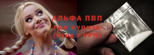 эйфоретик Богданович
