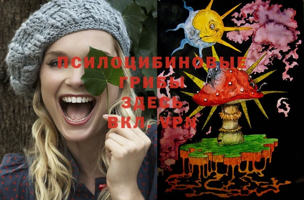эйфоретик Богданович
