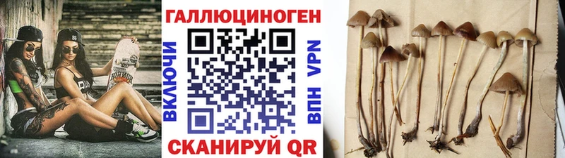 Псилоцибиновые грибы MAGIC MUSHROOMS  Купить  Касимов 
